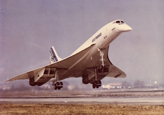 L’oiseau blanc